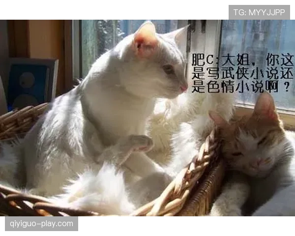 掌敏洁家的猫都比我会花钱